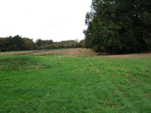2011 0129lastmaisonpressigny0074
