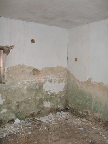2012_0215noeletmaisonnew0145-copie-1.JPG