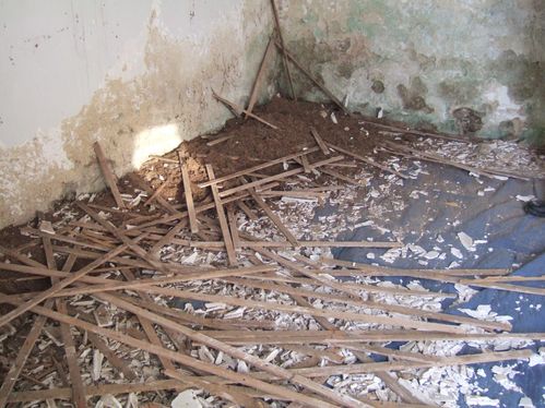 2012 0215noeletmaisonnew0167