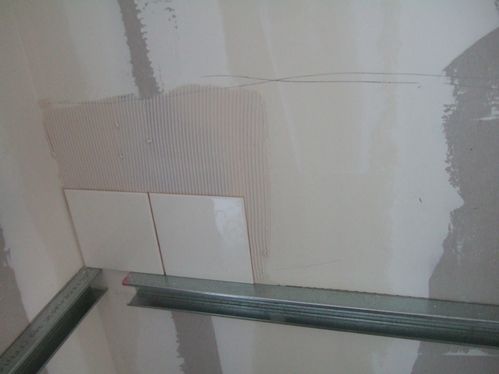 2012 0329travaumaisonnew50147