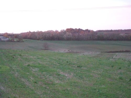 2012_1201travaumaisonnew180037.JPG