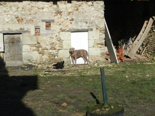 DSCN0645