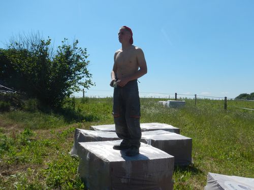 DSCN5511