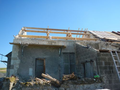 DSCN8464