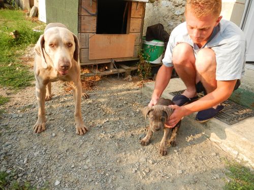 DSCN8557