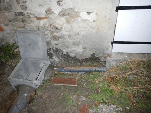 DSCN9954