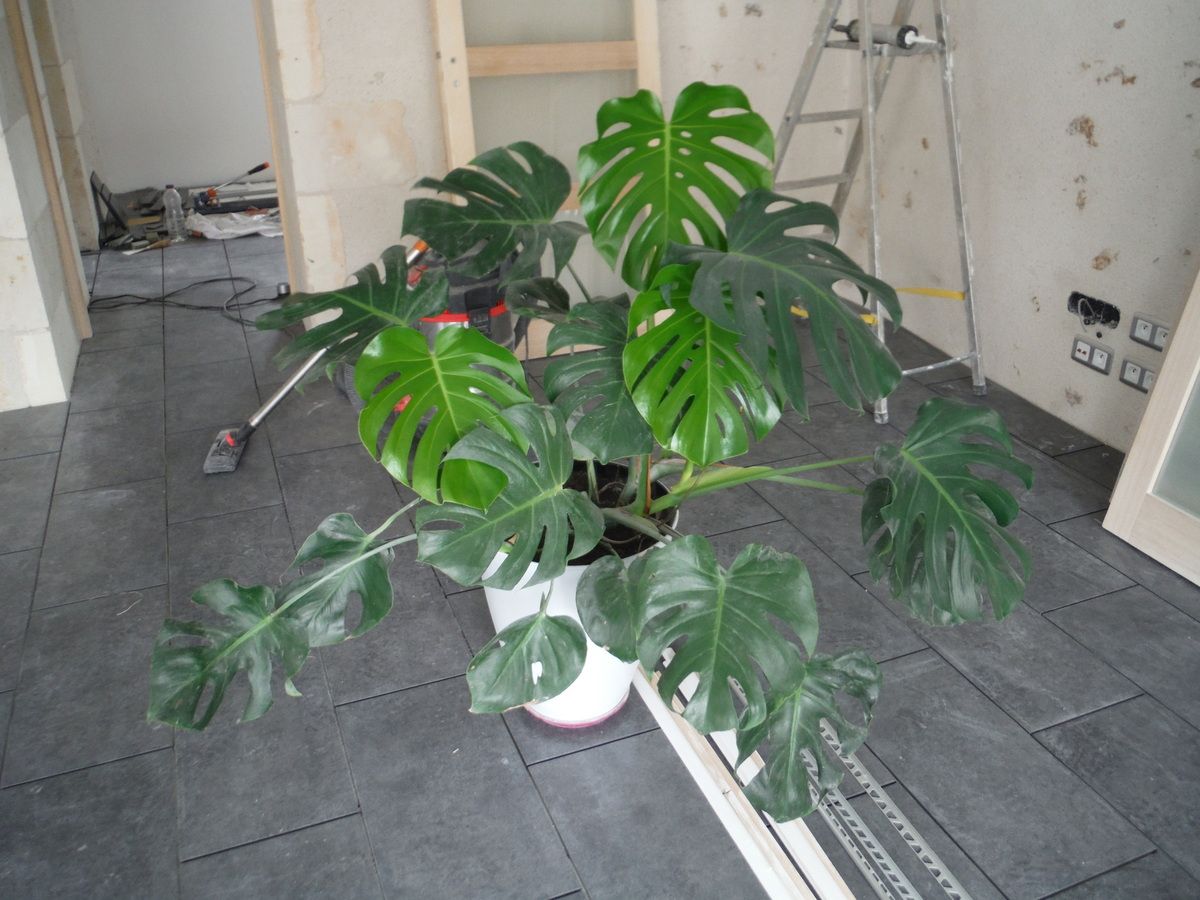 Carrelage et joints de carrelage!