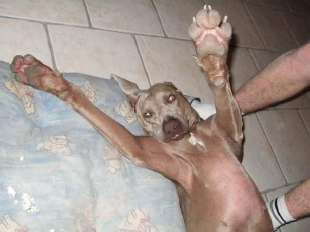 Des nouvelles...