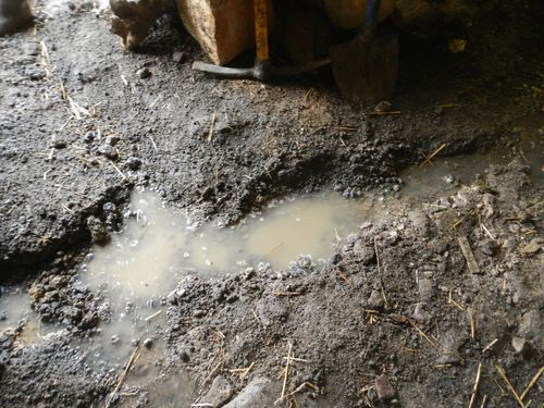 travaux 5 fevrier 058