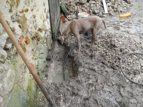 travaux 5 fevrier 060
