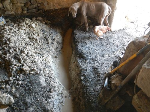 travaux 5 fevrier 174