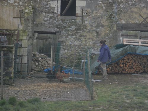 travaux 5 fevrier 264